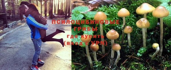 твердый Дмитриев