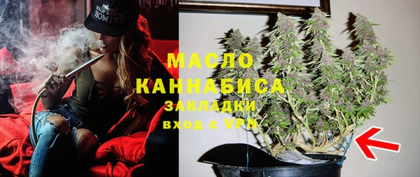 дживик Дмитров