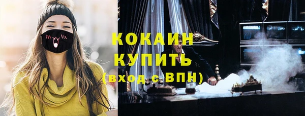 твердый Дмитриев