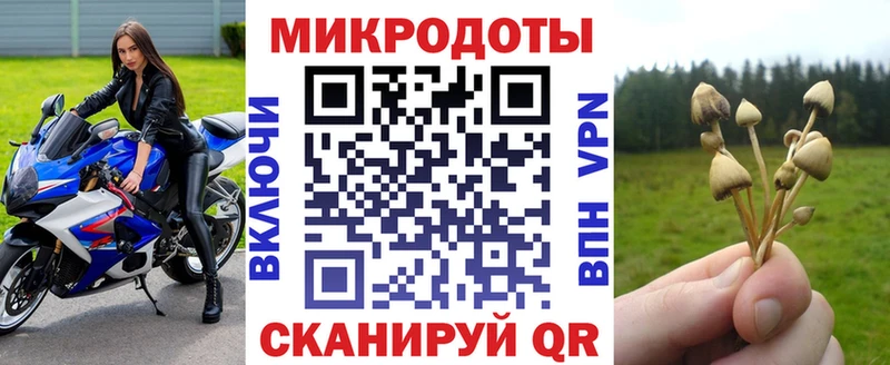Купить закладки  Красный Сулин  Псилоцибиновые грибы мицелий 